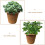 6 Pcs Succulent Planting Container Flower Holders Light Brown 9