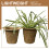 6 Pcs Succulent Planting Container Flower Holders Light Brown 11