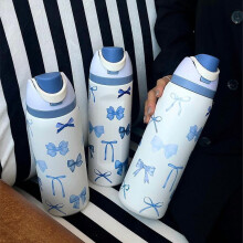 Bow Pattern Stainless Steel Vacuum Flask – Portable Insulated Water Bottle with Straw, Compatible with Home/Office/School/Outdoor/Camping