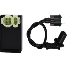 Vervangende zwarte bobine en CDI-box voor TRX300/FourTrax300 4x4 1988-1992