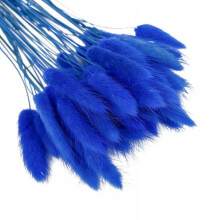 Natural Dried Lagurus ovatus 50 Pcs, Dried Bunny Tails Pampas for Flower Arrangements Wedding Home Decor