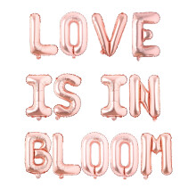 Rose Gold Balloon Banner for Bridal Shower, Wedding, Valentine’s, Mother’s Day, Baby Shower, Birthday – Compatible with Party Decor