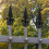 20Pcs Spears For Fence Practical Finials Toppers Accessories 6