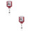 2Pcs Retractable Nurse Badge Reel Acrylic Multi-Function Badge Holder 5