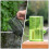 2Pièces Vert Plastique Acier Pour Arrosage 10