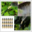50pcs copper adjustable spray nozzle for garden irrigation watering 9