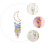 Lovely Multi Seashells Wind Chime Pendant for Indoor Balcony Decor 8