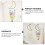 Lovely Multi Seashells Wind Chime Pendant for Indoor Balcony Decor 11