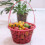 10St Rode Multi-Inzetbare Plastic Mand Voor Fruitplukken Thuis 3