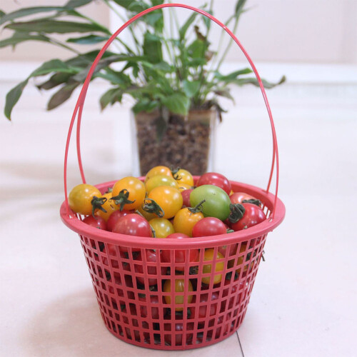 10St Rode Multi-Inzetbare Plastic Mand Voor Fruitplukken Thuis 2