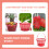 10St Rode Multi-Inzetbare Plastic Mand Voor Fruitplukken Thuis 7