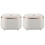 2X Press-Type Desktop Small Trash Can with Lid,Small Storage Bucket Tiny Desktop Waste Garbage Bin,White 1