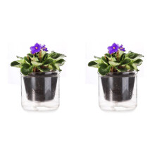 2X Vaso Autoirrigável de 4 Polegadas, Vaso para Violeta Africana, Vaso de Vidro com Fundo Irrigável para Plantas de Interior e Propagação