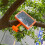 Smart Ultrasonic Bird Repeller Device Solar Powered Automatic Bird Repellent 4