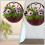 3Pcs Brown Plastic Wall Flower Basket Durable Hanging Planter Decor 11