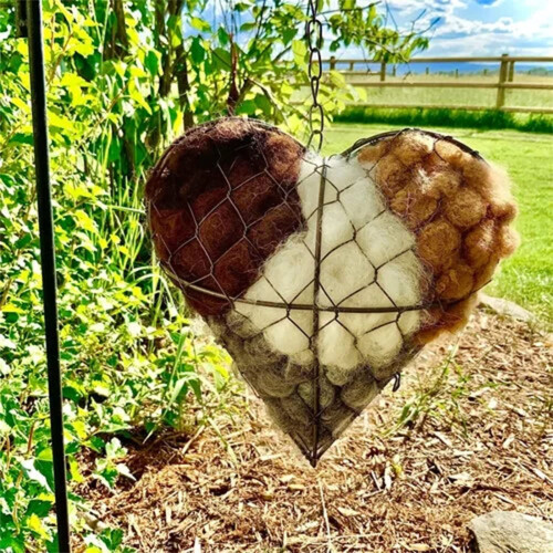 Bird Nesting Heart Outdoor Yard Art Decor 2
