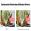 3PCS Plant Drip Irrigation Self Plant Watering System Device With Adjustable Control Valves Switch Automatic Dripper 4