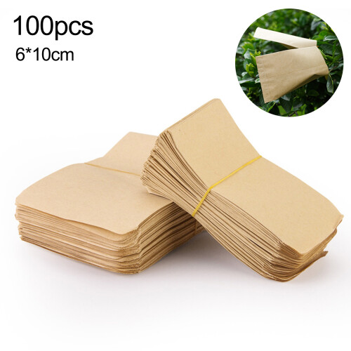 100pcs Empty Seed Envelopes 
Universal Tool Sturdy Kraft Paper Seed Storage Envelopes 12 x 20cm 1