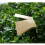 100pcs Empty Seed Envelopes 
Universal Tool Sturdy Kraft Paper Seed Storage Envelopes 12 x 20cm 4
