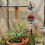 G1-1/4 DN32 Intelligent Battery Controlled Automatic Irrigation Timer Garden Watering Tool 5