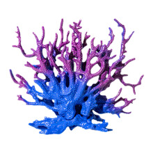 Realistic Coral Decoration for Fish Tank – Compatible with Aquariums, Kids’ Coloring Book & Watercolor Set
