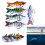 Κιτ 3 τεμαχίων 6 τεμαχίων Swimbait Lures - Σκληρά δολώματα 3D Eyes για λαβράκι/walleye, δολώματα 1