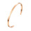 Titanium Stainless Steel Bangle Cuff Bracelet Rose Gold 1