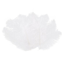 10 Pieces White Natural Ostrich Feather 20-25cm Wedding DIY