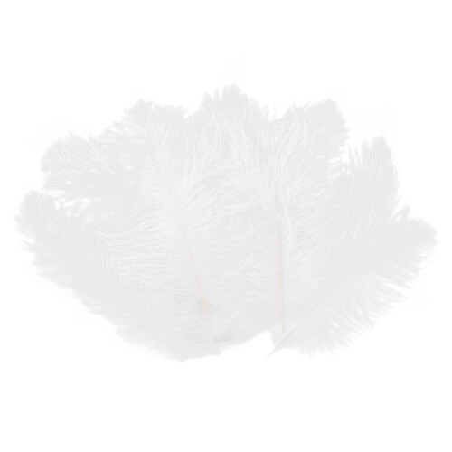 10 Pieces White Natural Ostrich Feather 20-25cm Wedding DIY