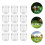 12Pcs Lightweight Household Feeding Cage Magnifier Box for Tiny Bugs 7