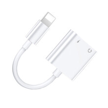 2-in-1-Audio-Anschlussadapter