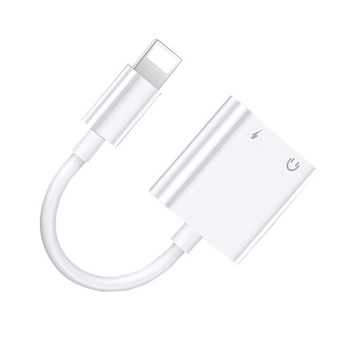 2-in-1-Audio-Anschlussadapter