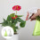 2St Plastic Sprayfles Voor En Schoonmaak, En Duurzaam 4