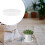 30St Stevige Plastic Tray Met Wateropvangfunctie 4
