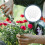 60Pcs Plastic Hand Pollination Tools for Fruit and Vegetable Gardens 4