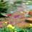 48 Pezzi Decorazioni Da Giardino Farfalle E Libellule Su Stecchi 8