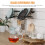 Clear Glass Pitcher for Home Tea Dispensing with Handle and Stylish Design 6
