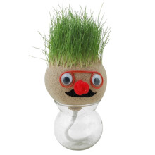 Mini-têtes d'herbe à faire pousser - Jouets éducatifs, poupées en forme de tête d'herbe, bricolage pour enfants, cadeaux