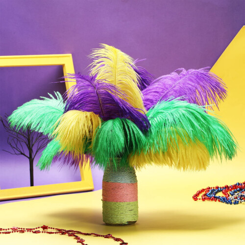 Ostrich Feathers Colorful 12 pcs 10-12 inch 2