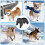Dog Snowsuit with Boot Regulable Waterproof Pants Reflective-M 2