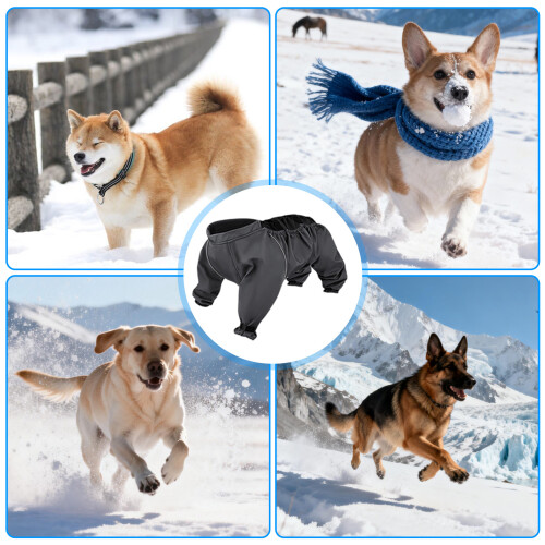 Manchons de jambe de chien couvre-jambes imperméables avec-S 1