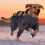 Dog Snowsuit with Boot Regulable Waterproof Pants Reflective-M 4