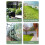 Convenient 12m 14mm Water Hose Designed For Easy Use In-QINGS 5