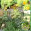 Round Metal Hanging Peanut Bird Feeder 4