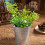 5 decoratieve bloempotten, multifunctionele gegalvaniseerde mini 11