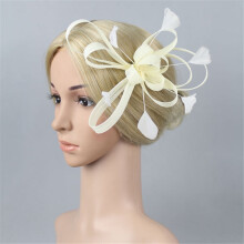 Beige Haarbänder für Damen – Fascinators, Haaraccessoires für Teepartys, Sport- und Hutdekoration mit Blumen, Netzstoff, Bändern und Federn;
