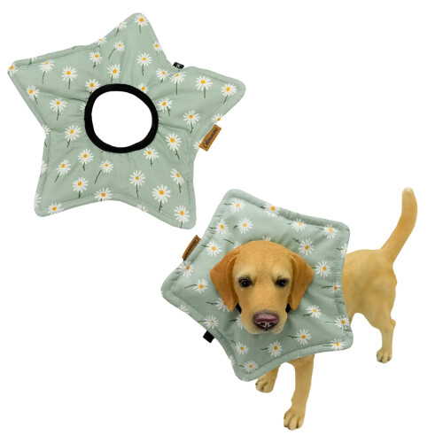 Comfortable Cats Cone for Post Operative Care and Licking 2