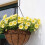 5Pièces Crochets S Acier Décoration Jardin 7
