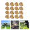 16Pièces Arrosage Jardin Durable Extérieur 2