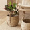 Decorative Planter Basket, Rattan Woven Flower Pot with Handles for Indoor Use Medium 3